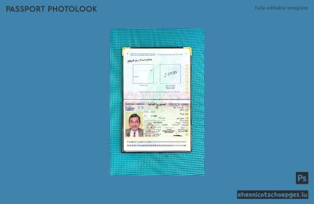 Beispielansicht eines libanesischen Passfotos